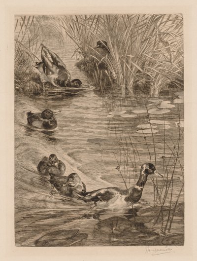 Oyundaki ördekler, c. 1870. by Felix Bracquemond