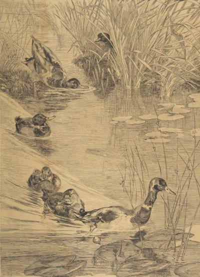 Ördek Eğlencesi, 1850-1914. by Felix Bracquemond