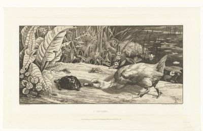L'Inconnu hendek kıyısında ördek ve kaplumbağa (nesnedeki başlık) by Felix Bracquemond