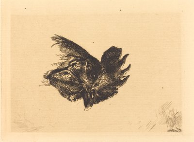 bir horoz başkanı by Felix Bracquemond