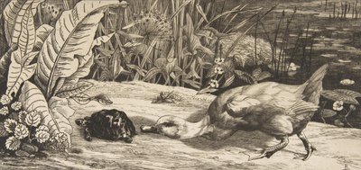 Bilinmeyen, 1862. by Felix Bracquemond