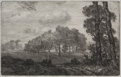 Fransızcadan sonra manzara by Felix Bracquemond