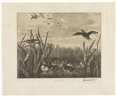 Sazlıklar arasında suda deniz mavisi olan manzara Sarcelles (nesne üzerindeki başlık) by Felix Bracquemond