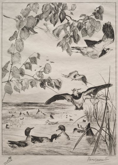 Lapwings ve Teals by Felix Bracquemond