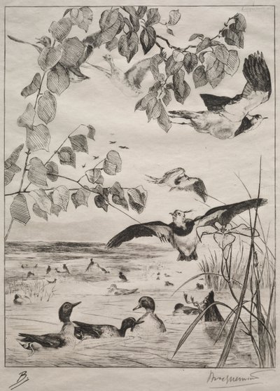 Lapwings ve Teals, 1862. by Felix Bracquemond
