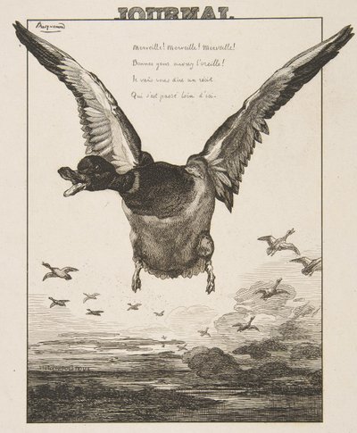 Ördek, 1856. by Felix Bracquemond