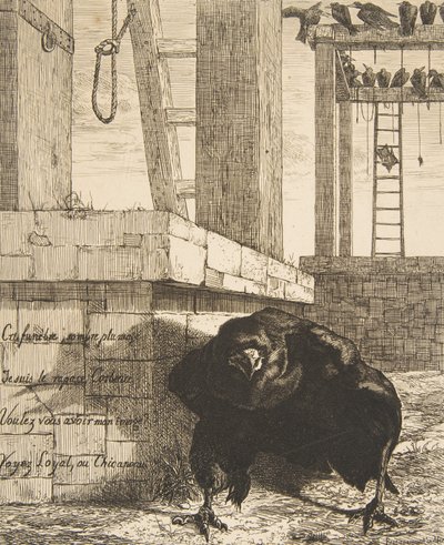 Kuzgun, 1859. by Felix Bracquemond