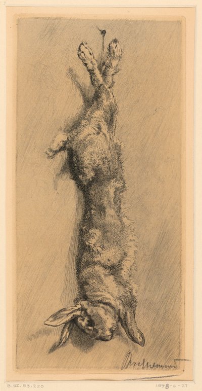 Garenne Tavşanı by Felix Bracquemond