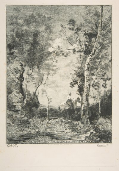 Beyaz At, 1858. by Felix Bracquemond