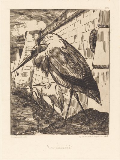 Leylekler by Felix Bracquemond