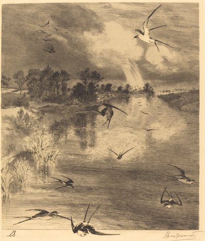 Les Hirondelles (Kırlangıçlar) by Felix Bracquemond