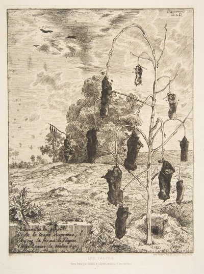 Köstebekler, 1854. by Felix Bracquemond