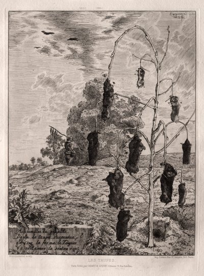 benler by Felix Bracquemond
