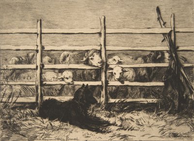 Sürü koyun, 1856. by Felix Bracquemond