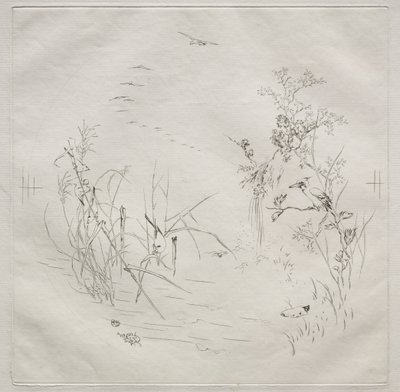Paris Servisi (Haviland servisi): Sakin (no. 3) by Felix Bracquemond