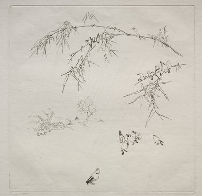 Paris Servisi (Haviland servisi): Rain (no. 10) by Felix Bracquemond