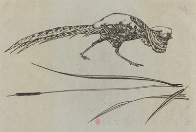 Sülün by Felix Bracquemond
