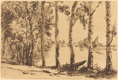 Seine Boyunca Kavaklar by Felix Bracquemond