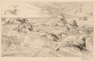 Martılar by Felix Bracquemond