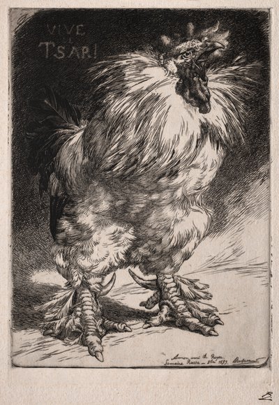 Fransız horoz by Felix Bracquemond