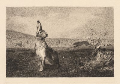 Tavşan by Felix Bracquemond
