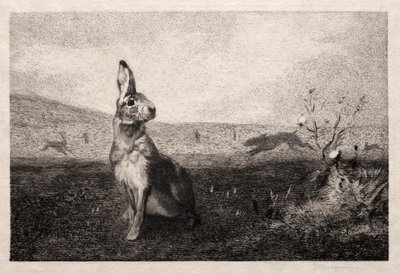 A. de Balleroy