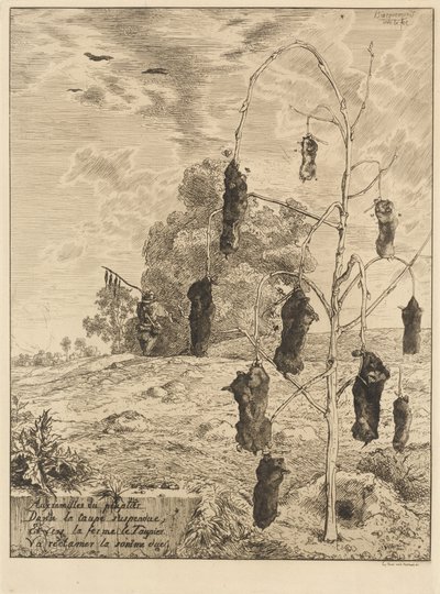benler by Felix Bracquemond