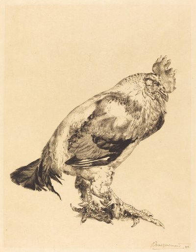 eski horoz by Felix Bracquemond