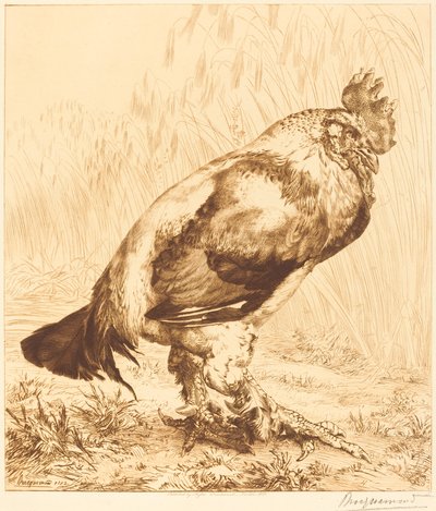 eski horoz by Felix Bracquemond