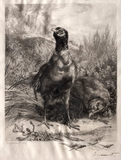 Sülünler by Felix Bracquemond