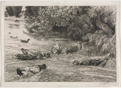 Soru İşareti by Felix Bracquemond