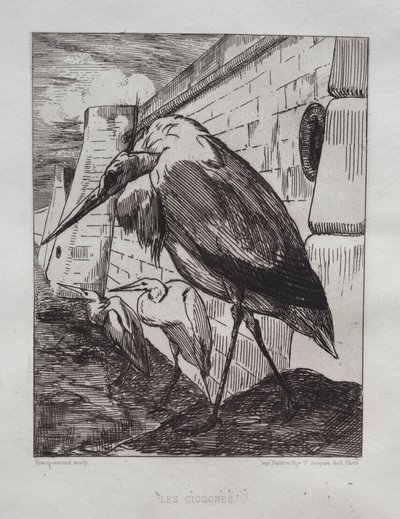 Leylekler by Felix Bracquemond