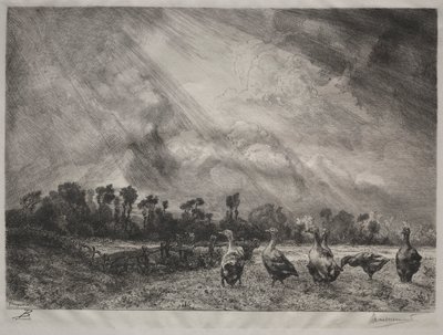Fırtına Bulutu by Felix Bracquemond