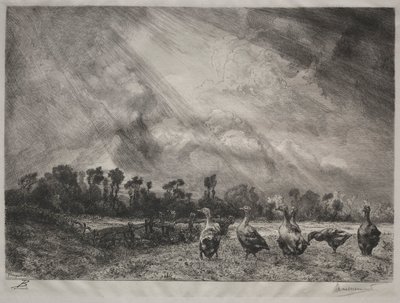 Fırtına Bulutu, 1878-1887. by Felix Bracquemond
