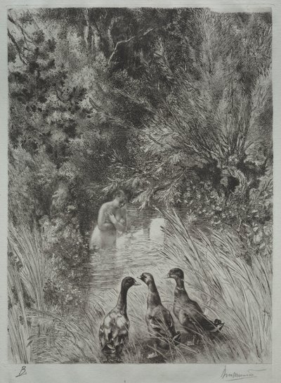 Sürpriz Ördekler by Felix Bracquemond