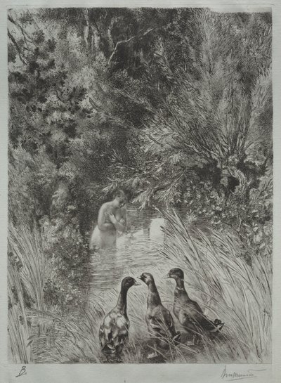 Sürpriz Ördekler. by Felix Bracquemond