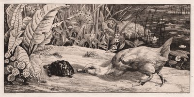Bilinmeyen by Felix Bracquemond