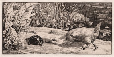 Bilinmeyen, 1862. by Felix Bracquemond