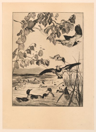 Vanneaux et Sarcelles (Kız kanatları ve Teal) by Felix Bracquemond
