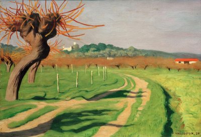Cagne Vadisi by Felix Edouard Vallotton