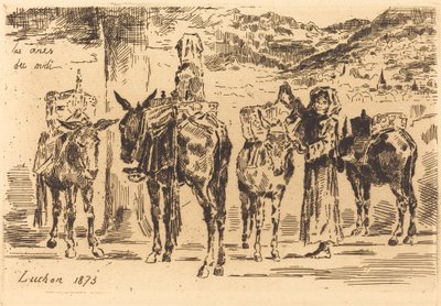 Güneyden eşek yaprakları, 1873. by Felix Hilaire Buhot