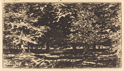 Orman. by Felix Hilaire Buhot