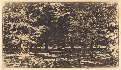 Orman. by Felix Hilaire Buhot