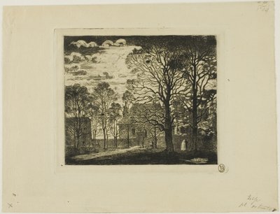 Manastır, Gözlemevi Bulvarı by Felix Hilaire Buhot
