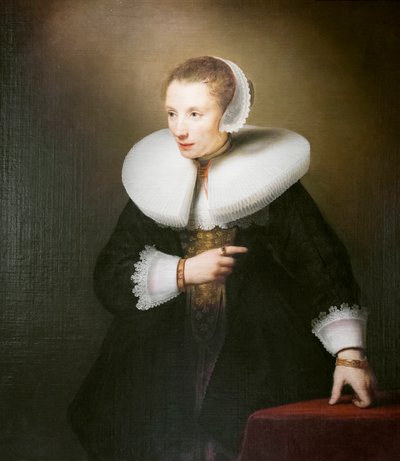 Bilinmeyen bir kadının portresi by Ferdinand Bol