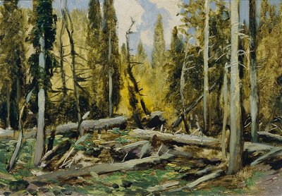 Šumava ("Çek Manzaralarının 16 Görünümü 