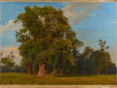 Büyük Prater manzarası by Ferdinand Georg Waldmuller