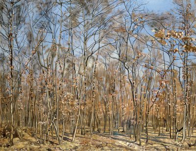 Kayın ormanı, 1885-1894. by Ferdinand Hodler