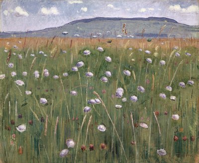 Çayır Parçası, c.1901 by Ferdinand Hodler