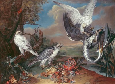 Grönland Cyr Şahinleri by Ferdinand Phillip de Hamilton